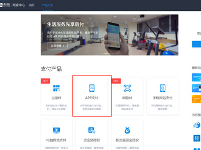 企业支付宝-支付接口申请流程